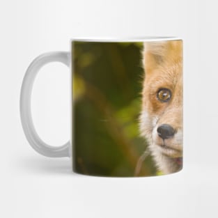 Red Fox Mug